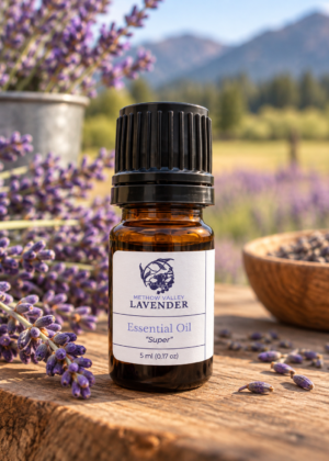 Lavender Essential Oil