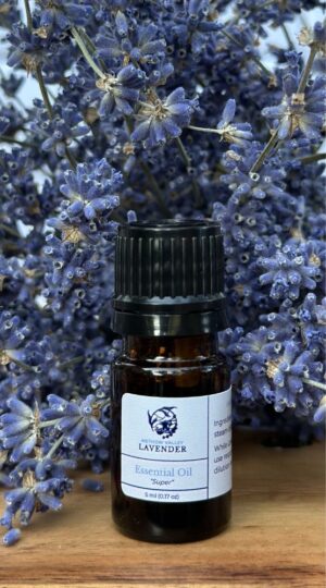 Lavender Essential Oil from Methow Valley Lavender
