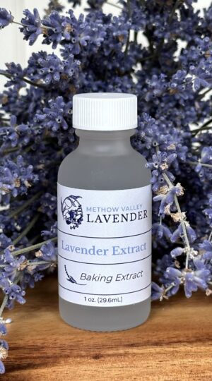 Lavender Extract from Methow Valley Lavender