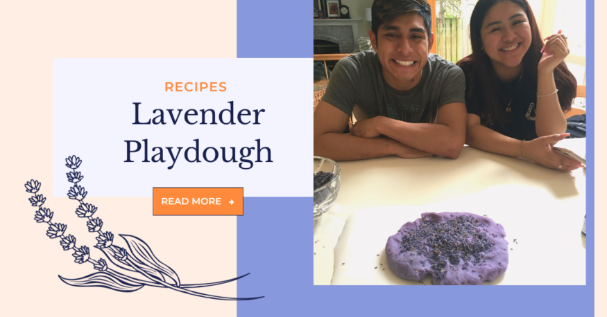 Lavender Playdough Recipe by Monica Shallow of Methow Valley Lavender