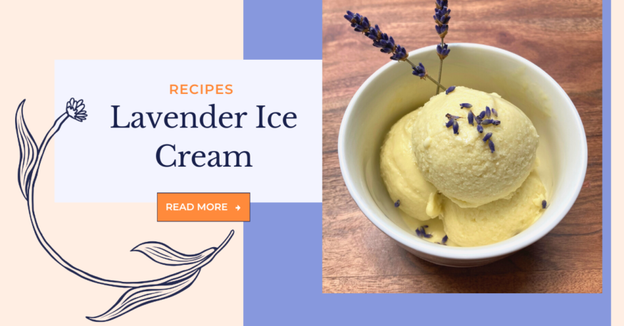 Lavender Ice Cream Recipe by Monica Shallow of Methow Valley Lavender