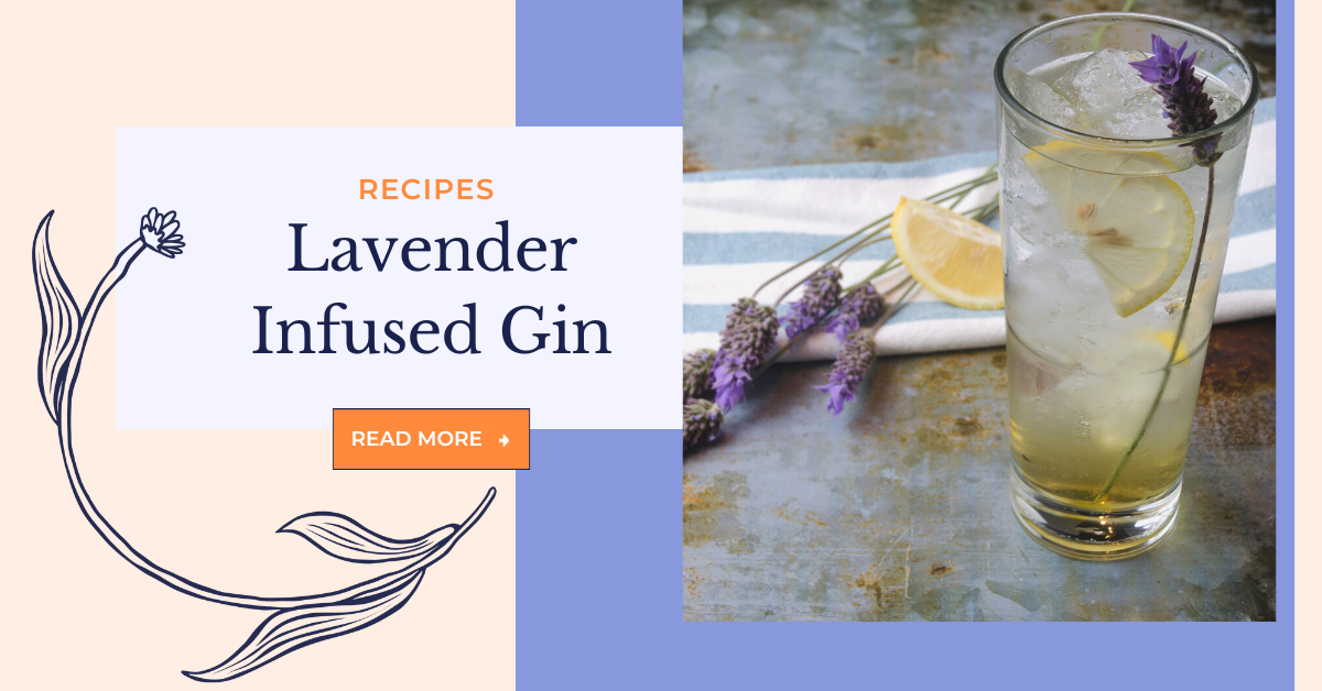 Lavender Infused Gin - A Recipe from Methow Valley Lavender - Carlton ...