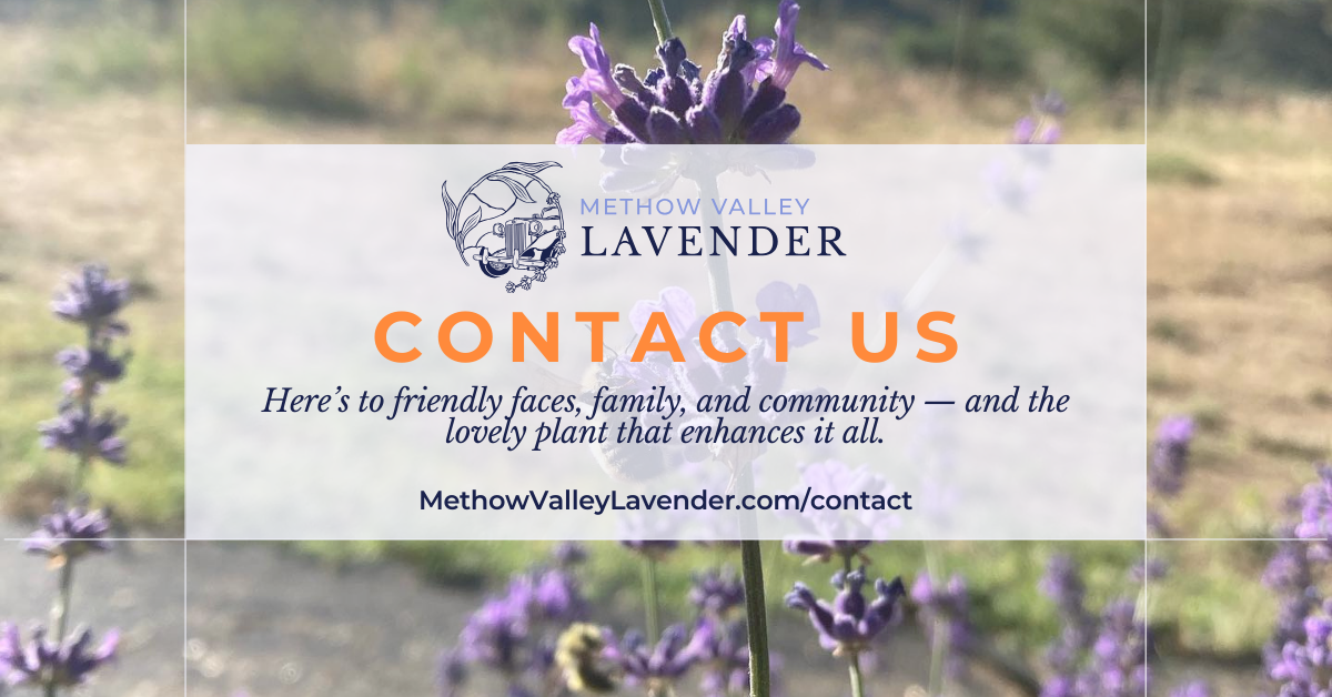 Moth Away Sachet – Peace Valley Lavender Farm