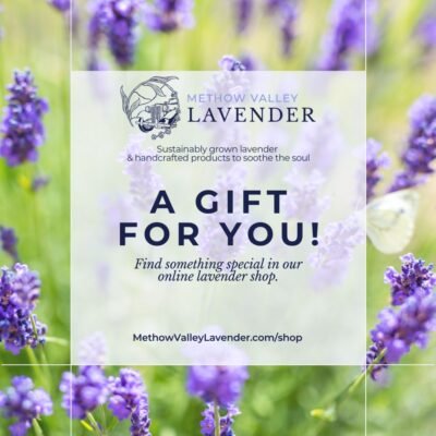 Just Because Gift Card for Methow Valley Lavender