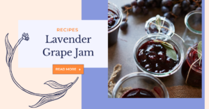 Lavender Grape Jam Recipe by Monica Shallow of Methow Valley Lavender