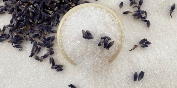 Blending culinary lavender bud and sugar in my food processor.