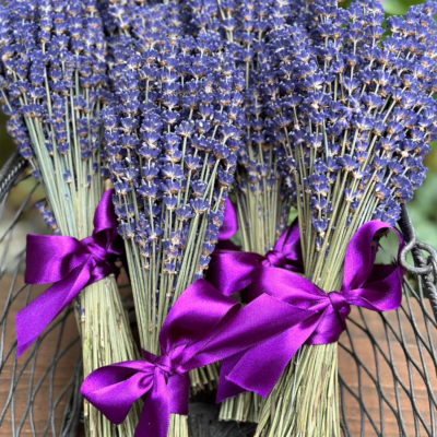 Lavender bouquets from Methow Valley Lavender