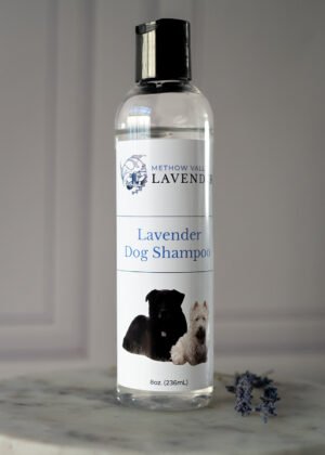 Dog Shampoo
